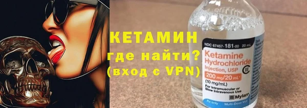шишки Пестово
