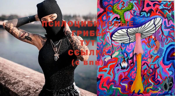шишки Пестово