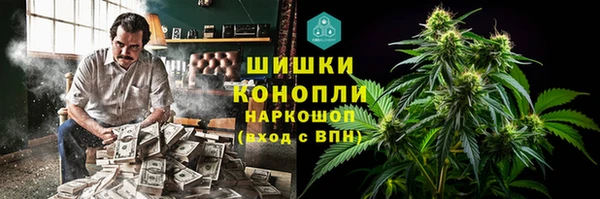 шишки Пестово