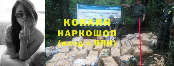шишки Пестово
