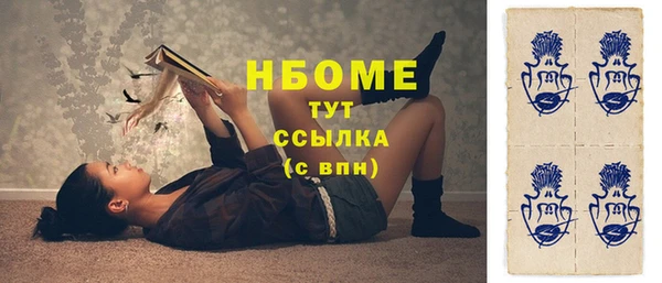 шишки Пестово