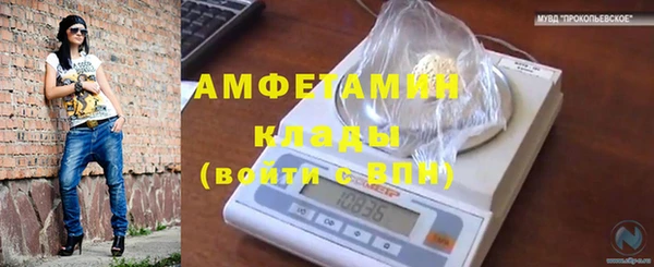 трава Покачи