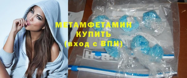 шишки Пестово